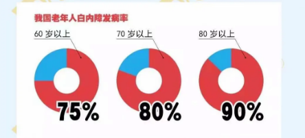全球致盲的主要原因有哪些？