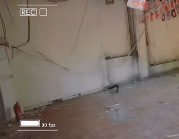 易視界河南又一家新店選址成功